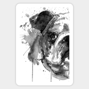 Black And White Half Faced English Bulldog Sticker